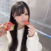 ヒメ日記 2026/03/24 19:40 投稿 リツキ 姫路ラビット