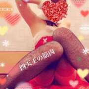 ヒメ日記 2025/11/27 08:35 投稿 小蝶（こちょう） 池袋夢幻