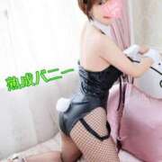 ヒメ日記 2026/01/31 08:25 投稿 小蝶（こちょう） 池袋夢幻