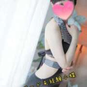 ヒメ日記 2026/02/19 08:35 投稿 小蝶（こちょう） 池袋夢幻