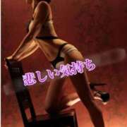 ヒメ日記 2026/02/26 08:44 投稿 小蝶（こちょう） 池袋夢幻