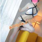 ヒメ日記 2026/03/01 08:25 投稿 小蝶（こちょう） 池袋夢幻