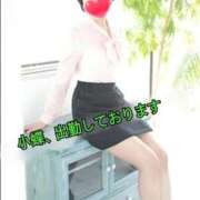 ヒメ日記 2026/03/20 08:36 投稿 小蝶（こちょう） 池袋夢幻