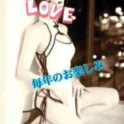 ヒメ日記 2026/03/28 08:45 投稿 小蝶（こちょう） 池袋夢幻