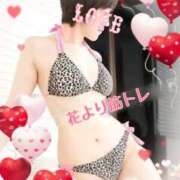 ヒメ日記 2026/03/29 08:45 投稿 小蝶（こちょう） 池袋夢幻