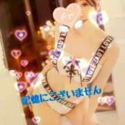 ヒメ日記 2026/04/11 08:40 投稿 小蝶（こちょう） 池袋夢幻