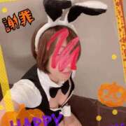 ヒメ日記 2026/10/12 08:25 投稿 小蝶（こちょう） 池袋夢幻