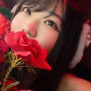 ヒメ日記 2026/04/18 13:53 投稿 まお VIVID CREW Pink Party Paradise