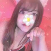 ヒメ日記 2026/08/12 14:17 投稿 まお VIVID CREW Pink Party Paradise