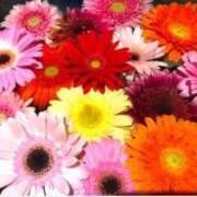 ヒメ日記 2025/02/18 12:44 投稿 ここ 熟女の風俗最終章 仙台店