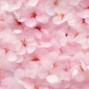 ヒメ日記 2025/03/13 13:54 投稿 ここ 熟女の風俗最終章 仙台店