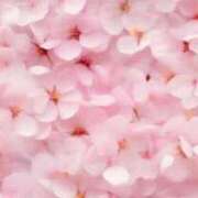 ヒメ日記 2025/04/19 12:06 投稿 ここ 熟女の風俗最終章 仙台店