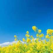 ヒメ日記 2025/05/20 01:44 投稿 ここ 熟女の風俗最終章 仙台店