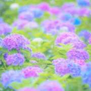 ヒメ日記 2025/06/14 13:04 投稿 ここ 熟女の風俗最終章 仙台店