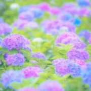 ヒメ日記 2025/09/10 12:44 投稿 ここ 熟女の風俗最終章 仙台店