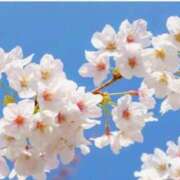 ヒメ日記 2026/04/23 13:16 投稿 ここ 熟女の風俗最終章 仙台店