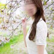 ヒメ日記 2026/02/23 10:13 投稿 真白【マシロ】 club MARIA(大阪)