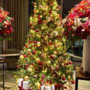 ヒメ日記 2024/12/16 01:18 投稿 ALICE【アリス】 BLENDA V.I.P東京店