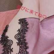 ヒメ日記 2025/03/15 09:25 投稿 木内　まこ しこたま奥様 札幌店