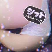 ヒメ日記 2024/12/11 05:53 投稿 もみじ もみもみワンダーランド