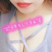 ヒメ日記 2025/01/20 21:03 投稿 もみじ もみもみワンダーランド