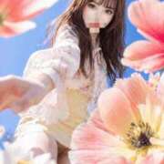 ヒメ日記 2026/04/24 17:05 投稿 あきら 渋谷蘭の会