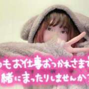 ヒメ日記 2024/12/21 11:59 投稿 雪野こはく セクシーキャット 神田店