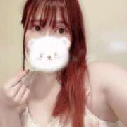 ヒメ日記 2025/07/01 12:05 投稿 雪野こはく セクシーキャット 神田店