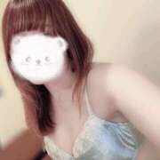 ヒメ日記 2025/09/05 10:05 投稿 雪野こはく セクシーキャット 神田店