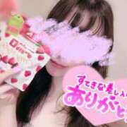 ヒメ日記 2025/09/29 14:14 投稿 雪野こはく セクシーキャット 神田店