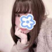 ヒメ日記 2025/11/17 10:04 投稿 雪野こはく セクシーキャット 神田店