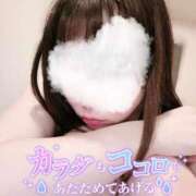 ヒメ日記 2026/05/10 09:53 投稿 雪野こはく セクシーキャット 神田店