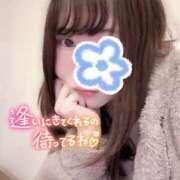 ヒメ日記 2026/06/07 09:41 投稿 雪野こはく セクシーキャット 神田店
