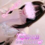 ヒメ日記 2026/07/29 09:49 投稿 雪野こはく セクシーキャット 神田店