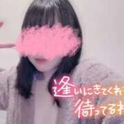 雪野こはく ⭐︎ セクシーキャット 神田店