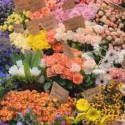 ヒメ日記 2024/12/16 20:45 投稿 なほ 奥様はエンジェル　町田店