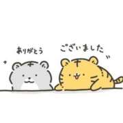 ヒメ日記 2025/12/14 10:35 投稿 うみ 妊婦母乳風俗専門店ミルクランド