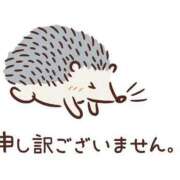 ヒメ日記 2024/08/28 11:01 投稿 みどり フィエスタ