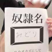 ヒメ日記 2024/12/30 21:14 投稿 みどり フィエスタ