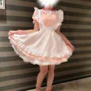 ヒメ日記 2025/01/24 07:04 投稿 みどり フィエスタ