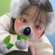 ヒメ日記 2025/02/25 15:24 投稿 みどり フィエスタ