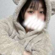 ヒメ日記 2025/03/12 09:34 投稿 みどり フィエスタ