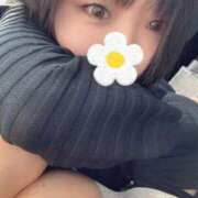 ヒメ日記 2025/03/17 11:14 投稿 みどり フィエスタ