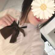 ヒメ日記 2025/04/25 07:14 投稿 みどり フィエスタ