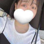 ヒメ日記 2025/07/29 11:04 投稿 みどり フィエスタ