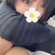 ヒメ日記 2025/07/31 11:04 投稿 みどり フィエスタ