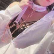 ヒメ日記 2025/08/23 15:14 投稿 みどり フィエスタ