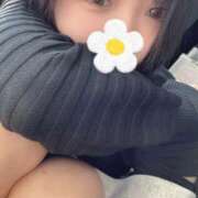 ヒメ日記 2025/11/03 11:04 投稿 みどり フィエスタ