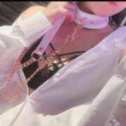 ヒメ日記 2025/12/27 09:18 投稿 みどり フィエスタ