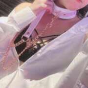 ヒメ日記 2026/09/20 07:14 投稿 みどり フィエスタ